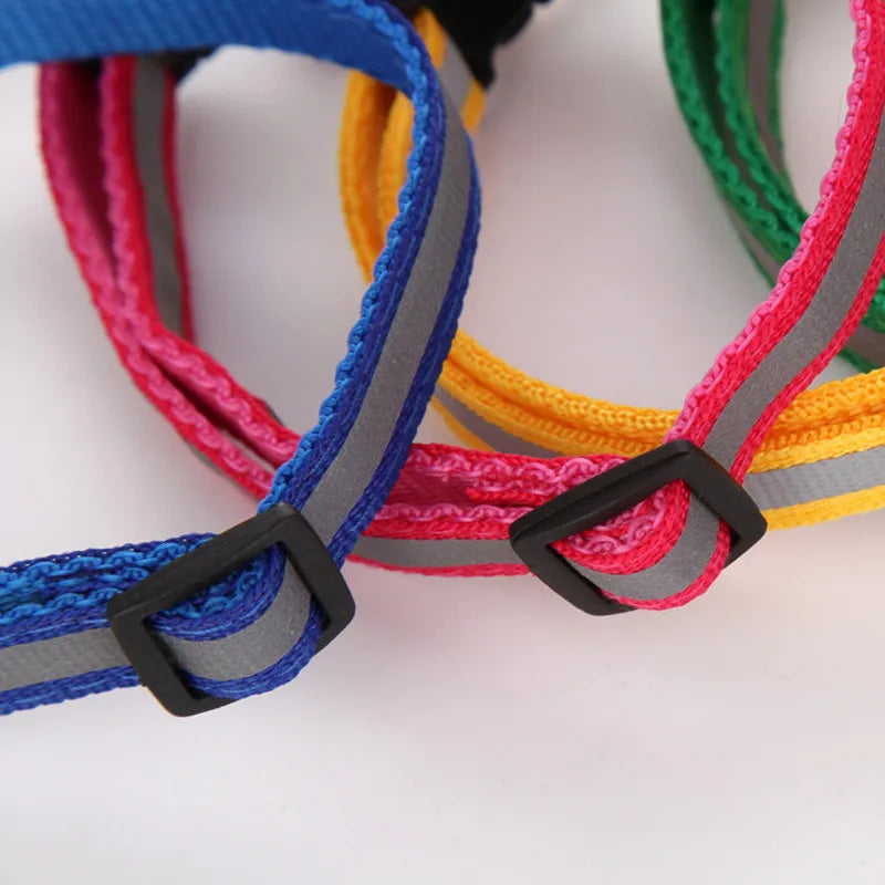 Premium Adjustable Dog Collar – Safety, Comfort & Style in One