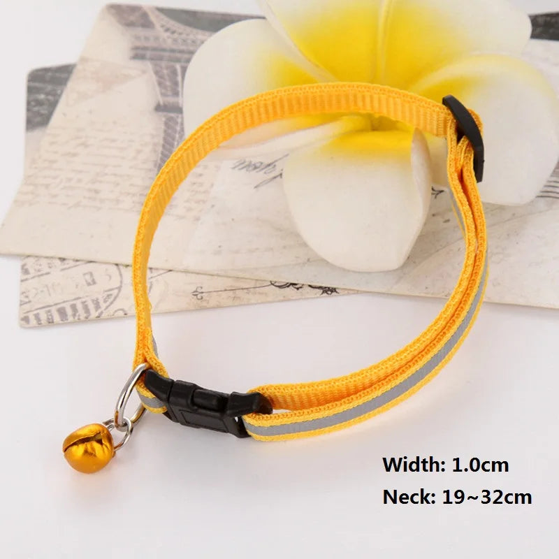 Premium Adjustable Dog Collar – Safety, Comfort & Style in One