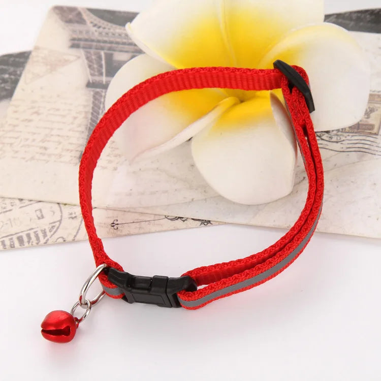 Premium Adjustable Dog Collar – Safety, Comfort & Style in One