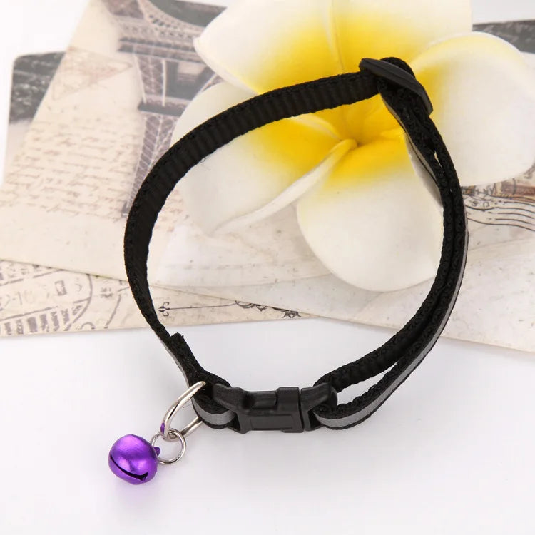 Premium Adjustable Dog Collar – Safety, Comfort & Style in One