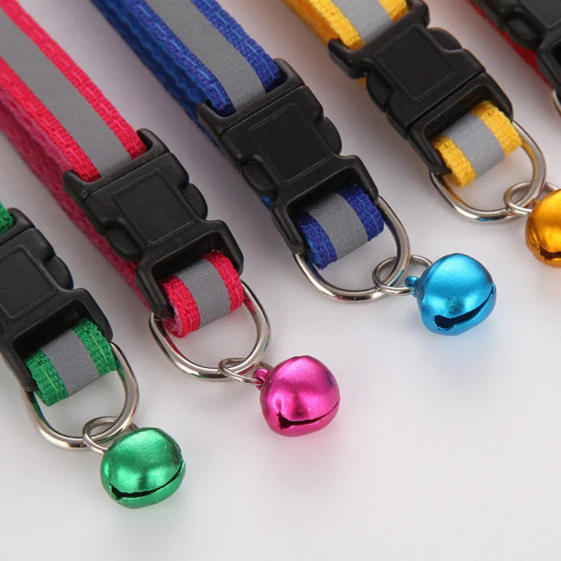 Premium Adjustable Dog Collar – Safety, Comfort & Style in One
