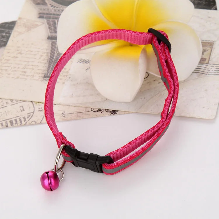 Premium Adjustable Dog Collar – Safety, Comfort & Style in One