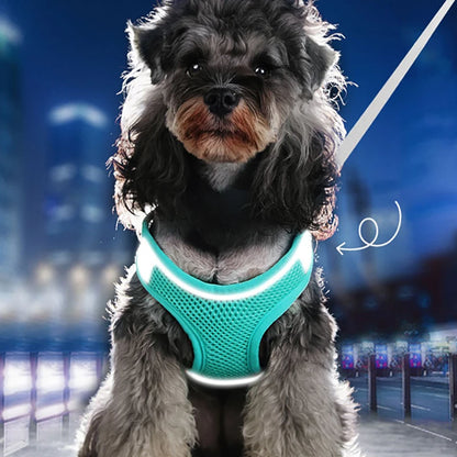 MADDEN Dog Cat Harness Vest