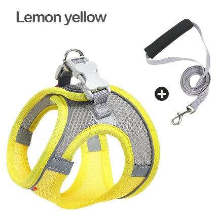 MADDEN Dog Cat Harness Vest