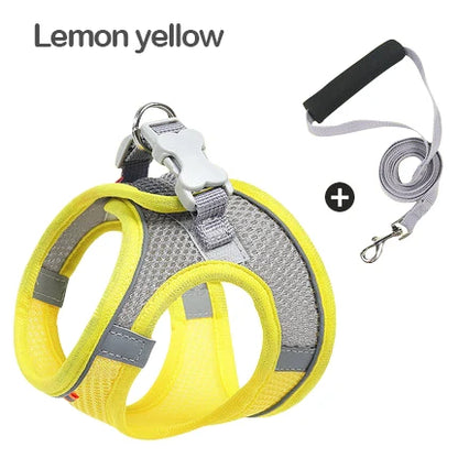 MADDEN Dog Cat Harness Vest