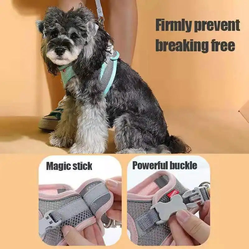 MADDEN Dog Cat Harness Vest