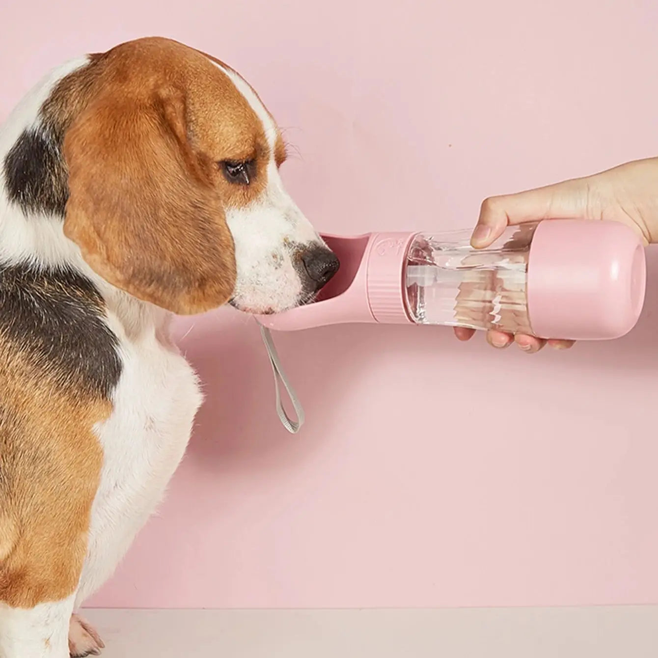 Pet 2-in-1 Portable Dog Water Bottle and Food Container