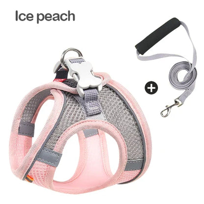 MADDEN Dog Cat Harness Vest