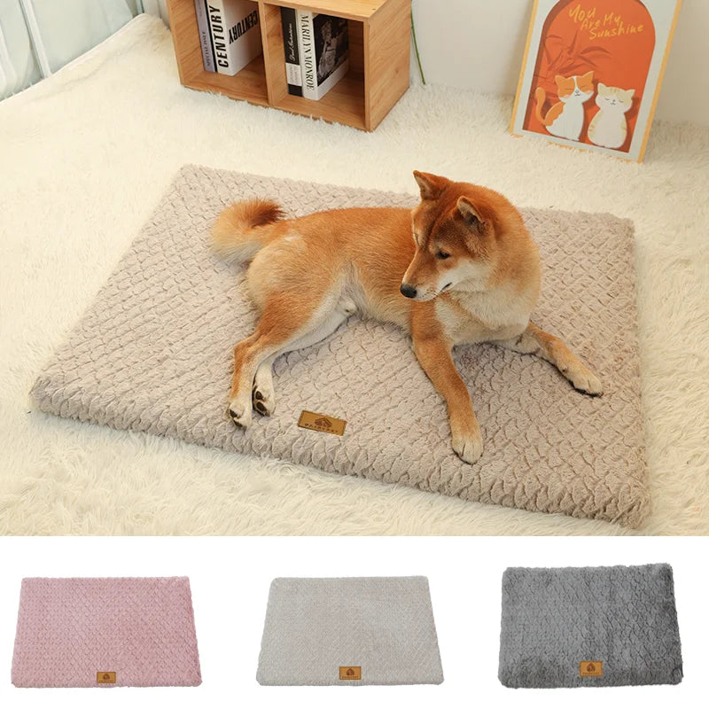 Ultimate Comfort & Support for Your Pet!