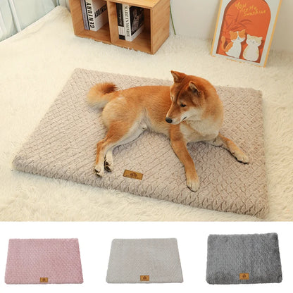 Ultimate Comfort & Support for Your Pet!