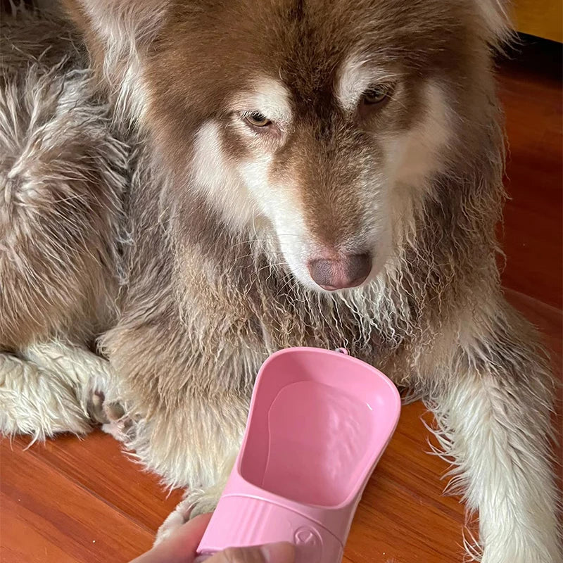 Portable Dog Water Bottle and Food Bowl
