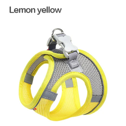 MADDEN Dog Cat Harness Vest
