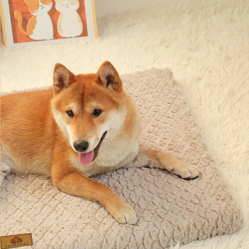 Ultimate Comfort & Support for Your Pet!