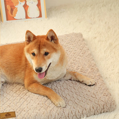 Ultimate Comfort & Support for Your Pet!
