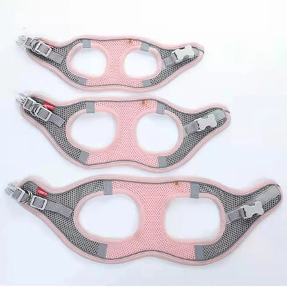 MADDEN Dog Cat Harness Vest